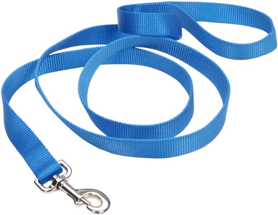 image:imageCoastal Pet SinglePly Dog Leash Sturdy Pet Leash Comfortable amp Stylish Resists Fraying Vibrant amp FadeResistant Color Lime 1 x 6Black