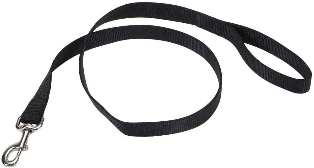 image:imageCoastal Pet SinglePly Dog Leash Sturdy Pet Leash Comfortable amp Stylish Resists Fraying Vibrant amp FadeResistant Color Lime 1 x 6Black