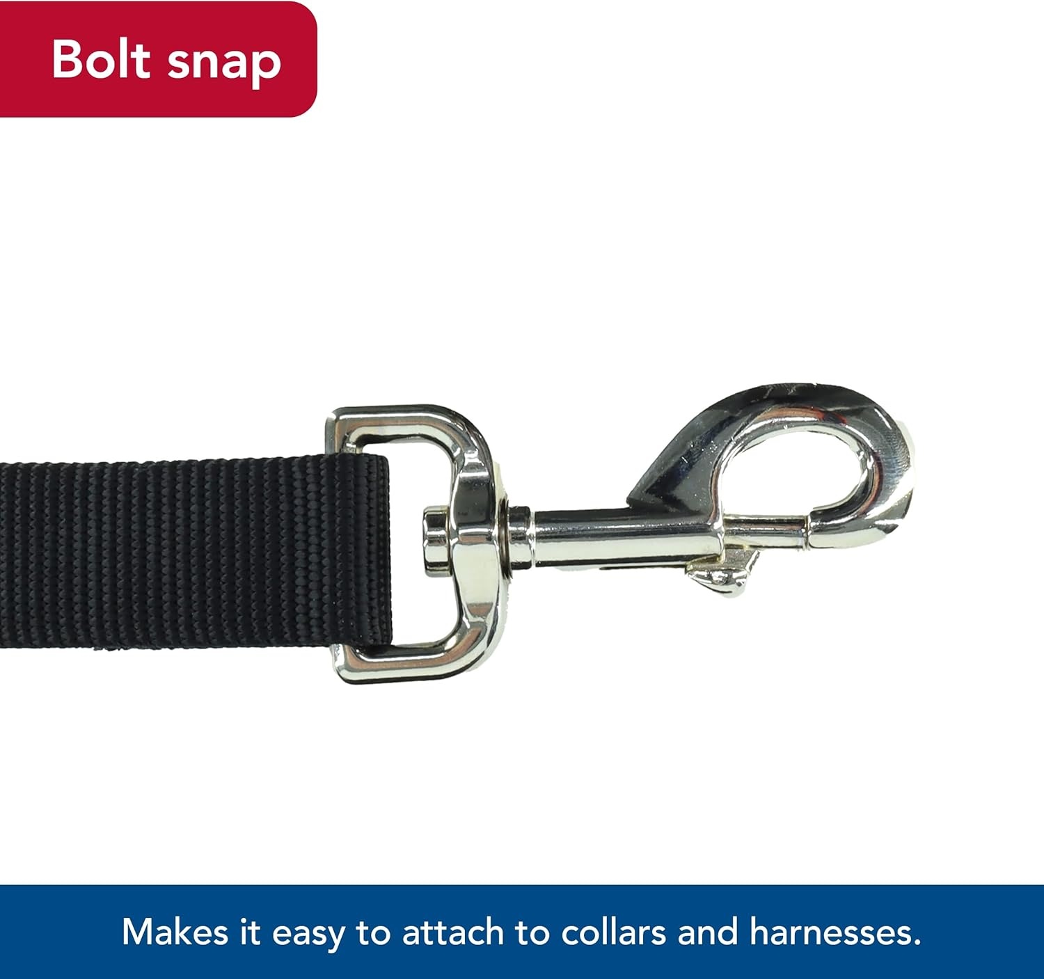 image:imageCoastal Pet SinglePly Dog Leash Sturdy Pet Leash Comfortable amp Stylish Resists Fraying Vibrant amp FadeResistant Color Lime 1 x 6Black
