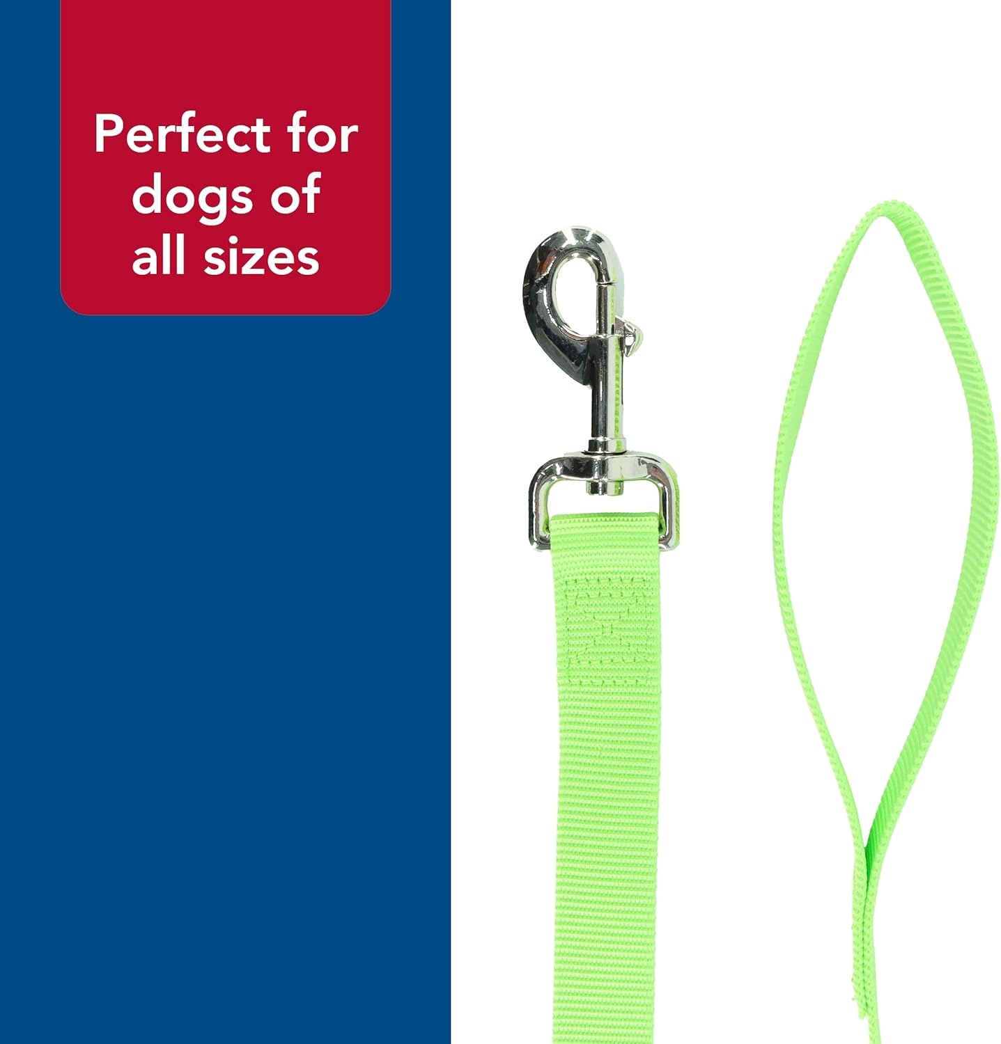 image:imageCoastal Pet SinglePly Dog Leash Sturdy Pet Leash Comfortable amp Stylish Resists Fraying Vibrant amp FadeResistant Color Lime 1 x 6Lime