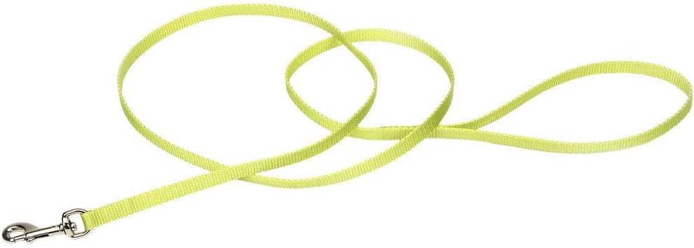image:imageCoastal Pet SinglePly Dog Leash Sturdy Pet Leash Comfortable amp Stylish Resists Fraying Vibrant amp FadeResistant Color Lime 1 x 6Lime