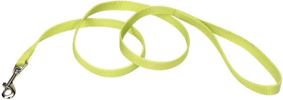 image:imageCoastal Pet SinglePly Dog Leash Sturdy Pet Leash Comfortable amp Stylish Resists Fraying Vibrant amp FadeResistant Color Lime 1 x 6Lime
