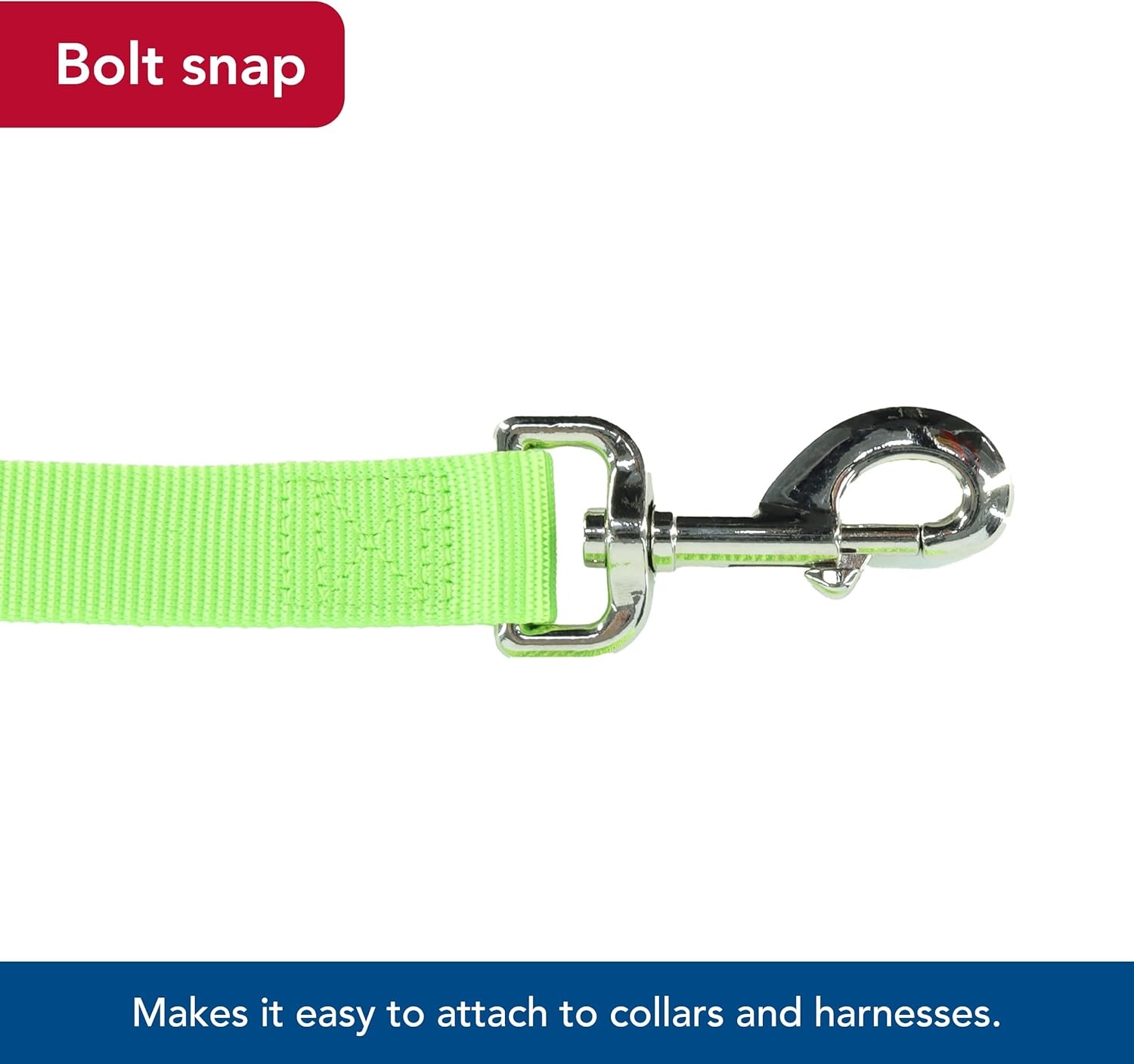 image:imageCoastal Pet SinglePly Dog Leash Sturdy Pet Leash Comfortable amp Stylish Resists Fraying Vibrant amp FadeResistant Color Lime 1 x 6Lime
