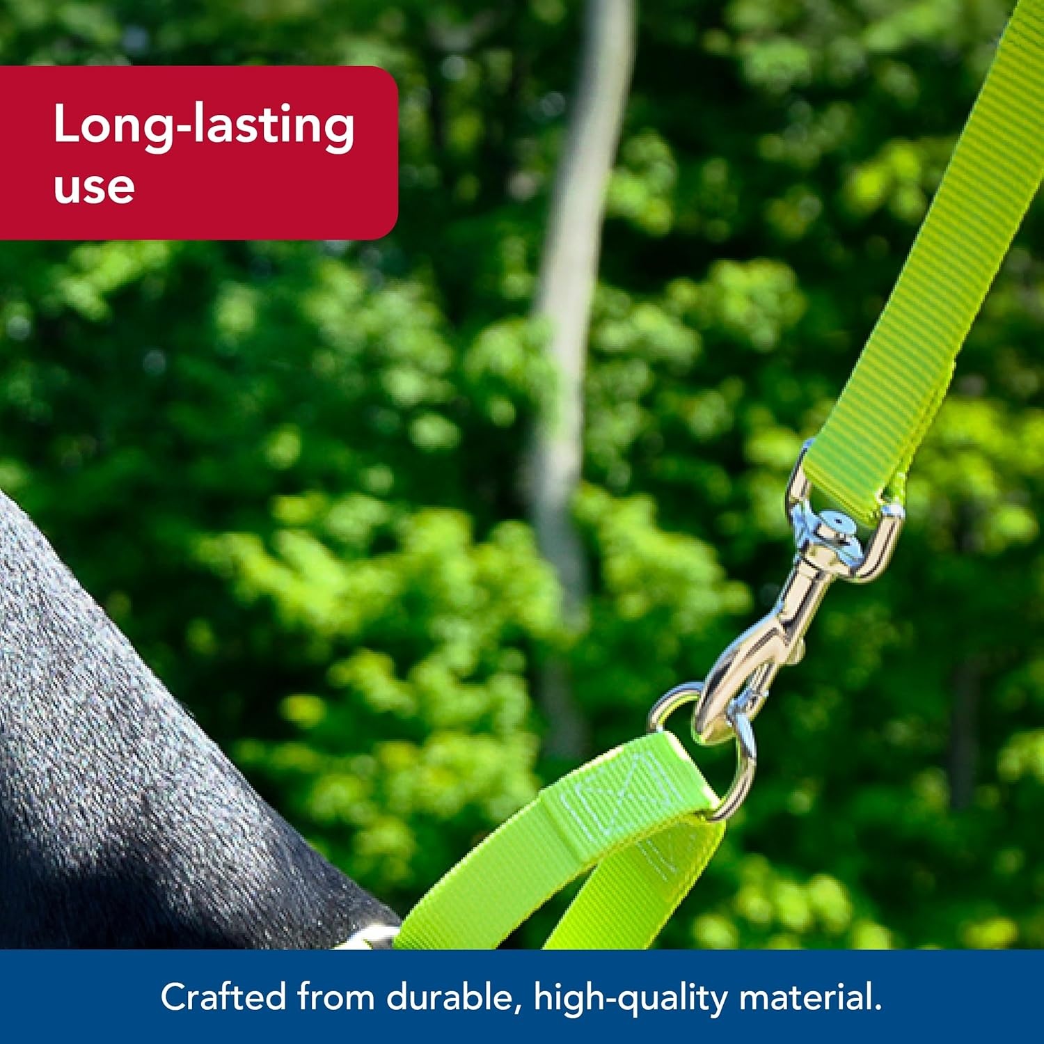image:imageCoastal Pet SinglePly Dog Leash Sturdy Pet Leash Comfortable amp Stylish Resists Fraying Vibrant amp FadeResistant Color Lime 1 x 6Lime