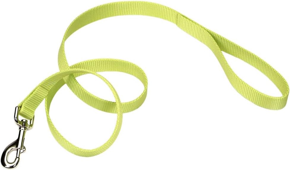 image:imageCoastal Pet SinglePly Dog Leash Sturdy Pet Leash Comfortable amp Stylish Resists Fraying Vibrant amp FadeResistant Color Lime 1 x 6Lime