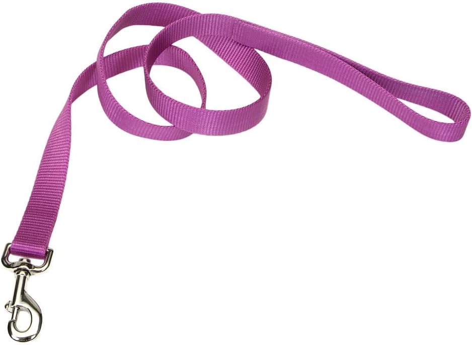 image:imageCoastal Pet SinglePly Dog Leash Sturdy Pet Leash Comfortable amp Stylish Resists Fraying Vibrant amp FadeResistant Color Lime 1 x 6Orchid