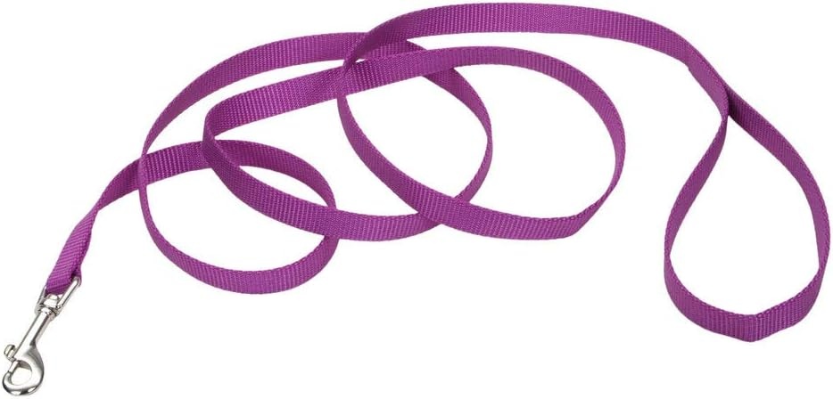 image:imageCoastal Pet SinglePly Dog Leash Sturdy Pet Leash Comfortable amp Stylish Resists Fraying Vibrant amp FadeResistant Color Lime 1 x 6Orchid