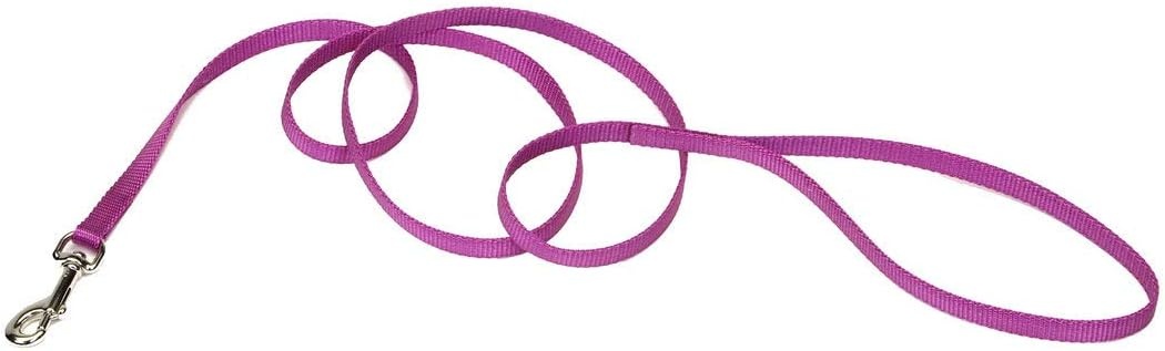 image:imageCoastal Pet SinglePly Dog Leash Sturdy Pet Leash Comfortable amp Stylish Resists Fraying Vibrant amp FadeResistant Color Lime 1 x 6Orchid