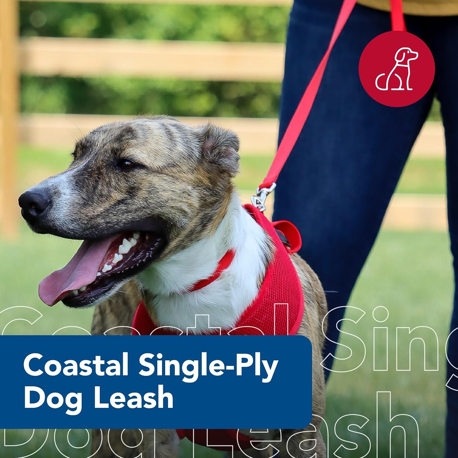 image:imageCoastal Pet SinglePly Dog Leash Sturdy Pet Leash Comfortable amp Stylish Resists Fraying Vibrant amp FadeResistant Color Lime 1 x 6Pink Bright