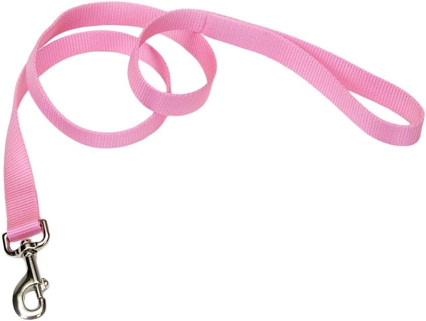 image:imageCoastal Pet SinglePly Dog Leash Sturdy Pet Leash Comfortable amp Stylish Resists Fraying Vibrant amp FadeResistant Color Lime 1 x 6Pink Bright