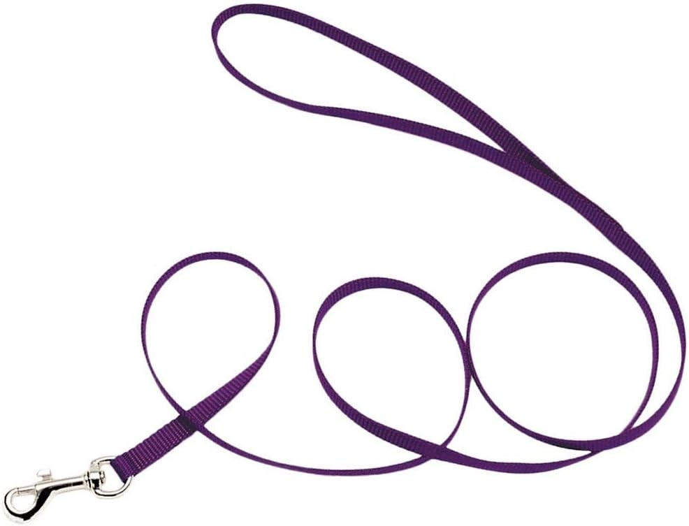 image:imageCoastal Pet SinglePly Dog Leash Sturdy Pet Leash Comfortable amp Stylish Resists Fraying Vibrant amp FadeResistant Color Lime 1 x 6Purple