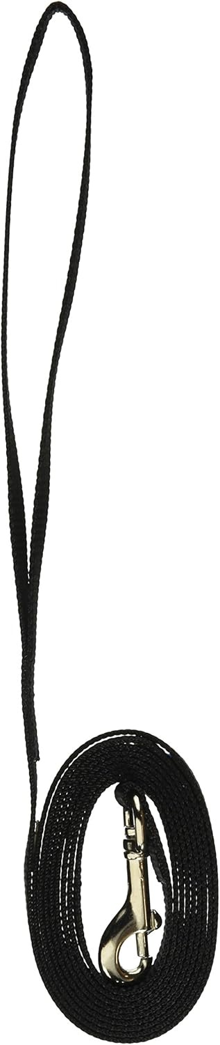 image:imageCoastal Pet SinglePly Dog Leash Sturdy Pet Leash Comfortable amp Stylish Resists Fraying Vibrant amp FadeResistant Color Lime 1 x 6Purple