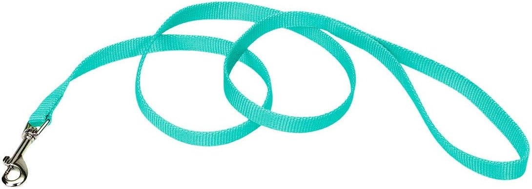 image:imageCoastal Pet SinglePly Dog Leash Sturdy Pet Leash Comfortable amp Stylish Resists Fraying Vibrant amp FadeResistant Color Lime 1 x 6Teal
