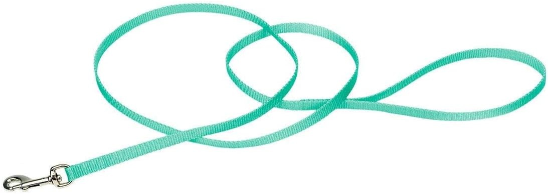 image:imageCoastal Pet SinglePly Dog Leash Sturdy Pet Leash Comfortable amp Stylish Resists Fraying Vibrant amp FadeResistant Color Lime 1 x 6Teal