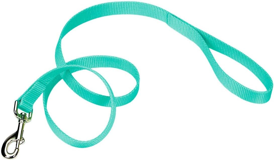 image:imageCoastal Pet SinglePly Dog Leash Sturdy Pet Leash Comfortable amp Stylish Resists Fraying Vibrant amp FadeResistant Color Lime 1 x 6Teal