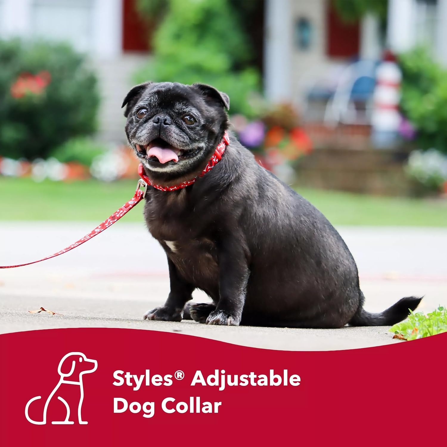 image:imageCoastal Pet Styles Adjustable Dog Collar Stylish Patterned Fabrics SnapLock Buckle Adjustable Dog Collar for Small Medium or Large Dogs Black Skulls 58 x 101438 x 0812 Pack of 1