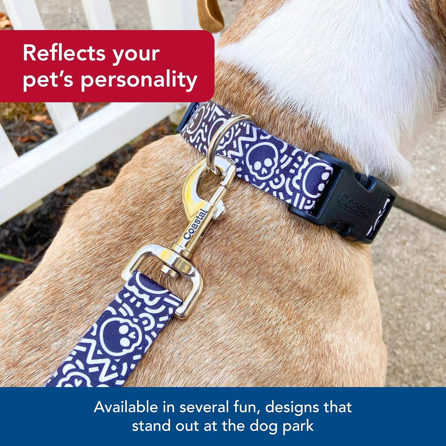 image:imageCoastal Pet Styles Adjustable Dog Collar Stylish Patterned Fabrics SnapLock Buckle Adjustable Dog Collar for Small Medium or Large Dogs Black Skulls 58 x 1014Small Pack of 1