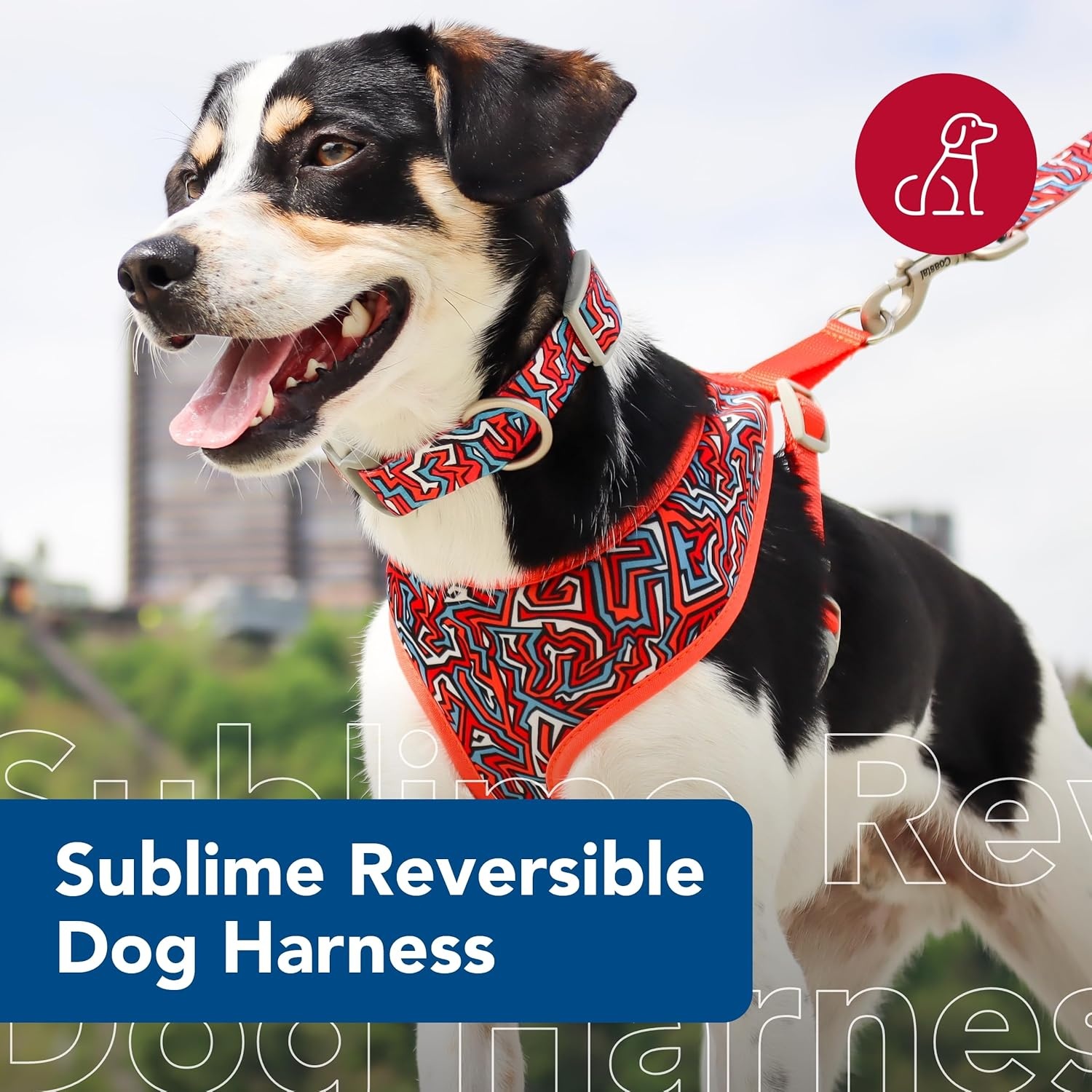 image:imageCoastal Pet Sublime Reversible Dog Harness Adjustable Fit with Easy Overhead Application Exceptional Durability Red Blue Graffitti with Red Stars XSmall 58 x 16 19