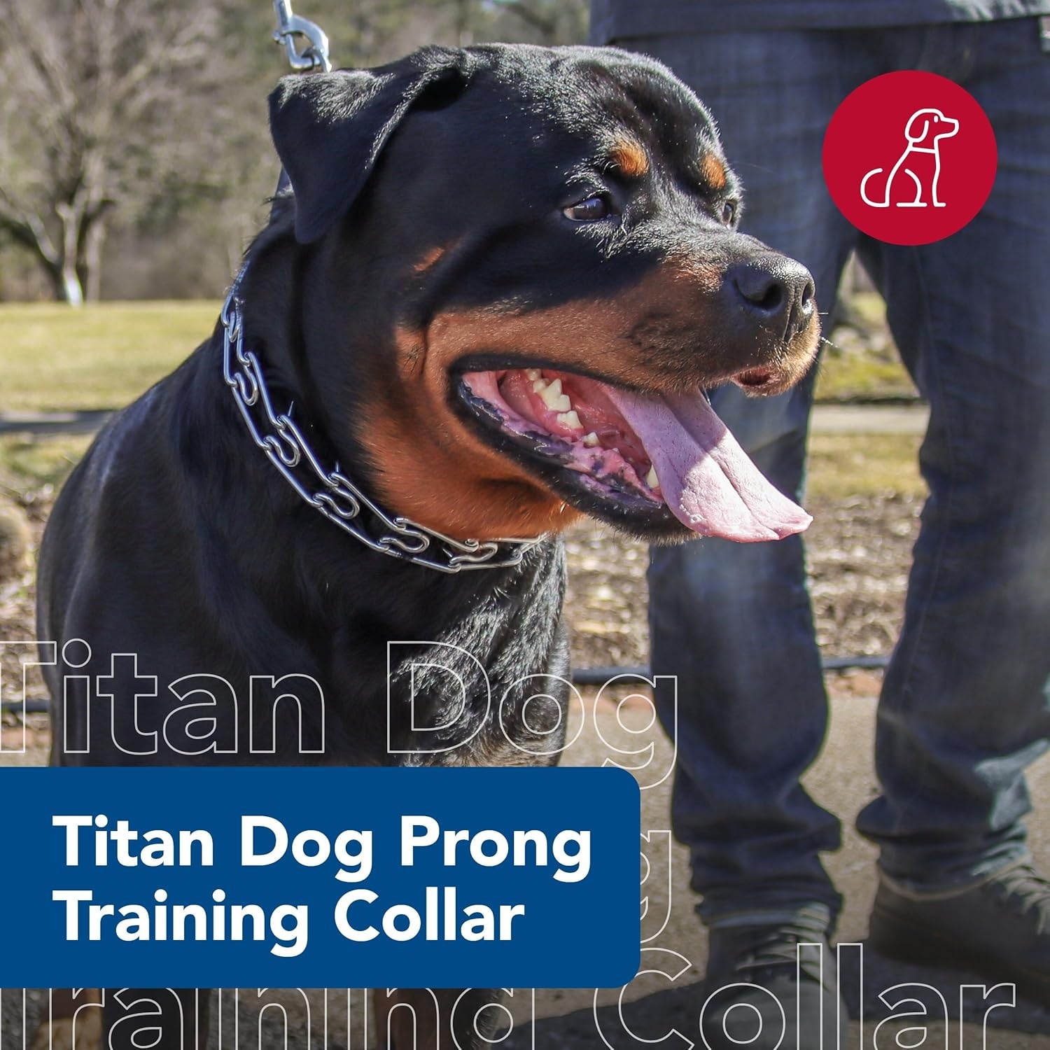 image:imageCoastal Pet Titan Dog Prong Training Collar RustResistant and Prong Metal Training Chain Collar for Dogs Quality Supplies 2 mm x 1433 mm x 20 Pack of 1