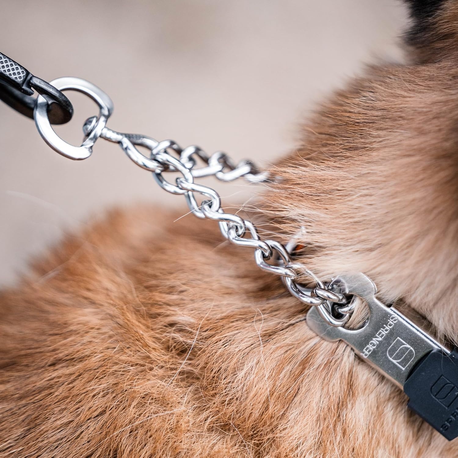 image:imageHerm SPRENGER UltraPlus Prong Dog Training Collar 4 mm x 21 Neck Size 4 mm x 25 Chain Length Steel Chrome Plated Dog Prong Collar Pinch Collar for Dogs Dog Correction CollarStainless Steel