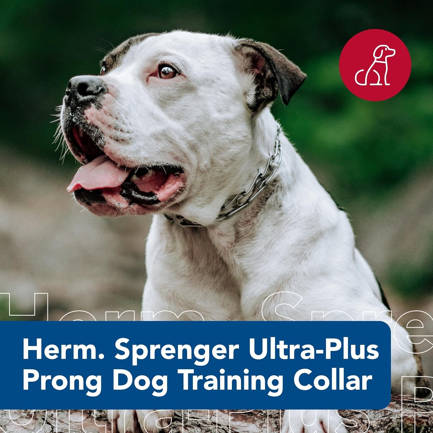 image:imageHerm SPRENGER UltraPlus Prong Dog Training Collar 4 mm x 21 Neck Size 4 mm x 25 Chain Length Steel Chrome Plated Dog Prong Collar Pinch Collar for Dogs Dog Correction CollarChrome