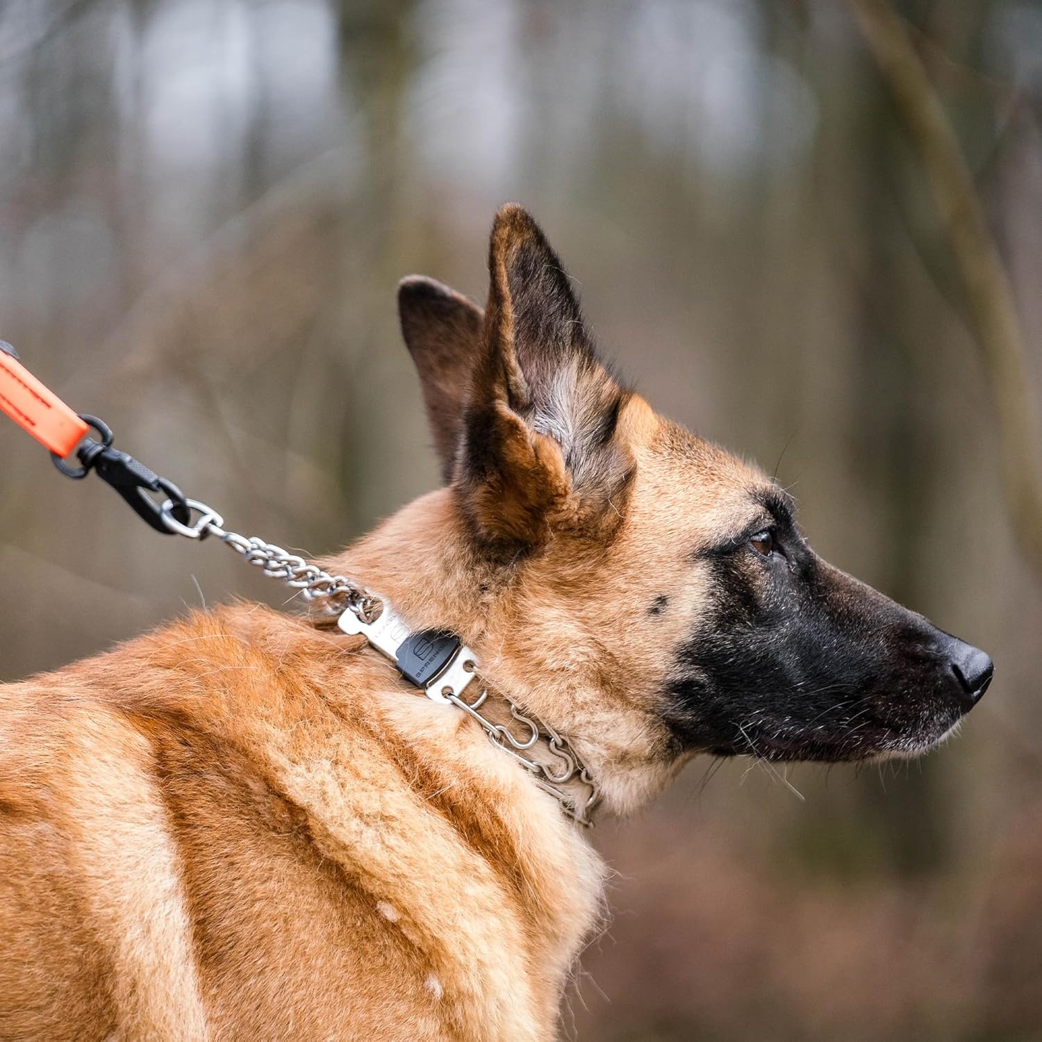 image:imageHerm SPRENGER UltraPlus Prong Dog Training Collar 4 mm x 21 Neck Size 4 mm x 25 Chain Length Steel Chrome Plated Dog Prong Collar Pinch Collar for Dogs Dog Correction CollarStainless Steel