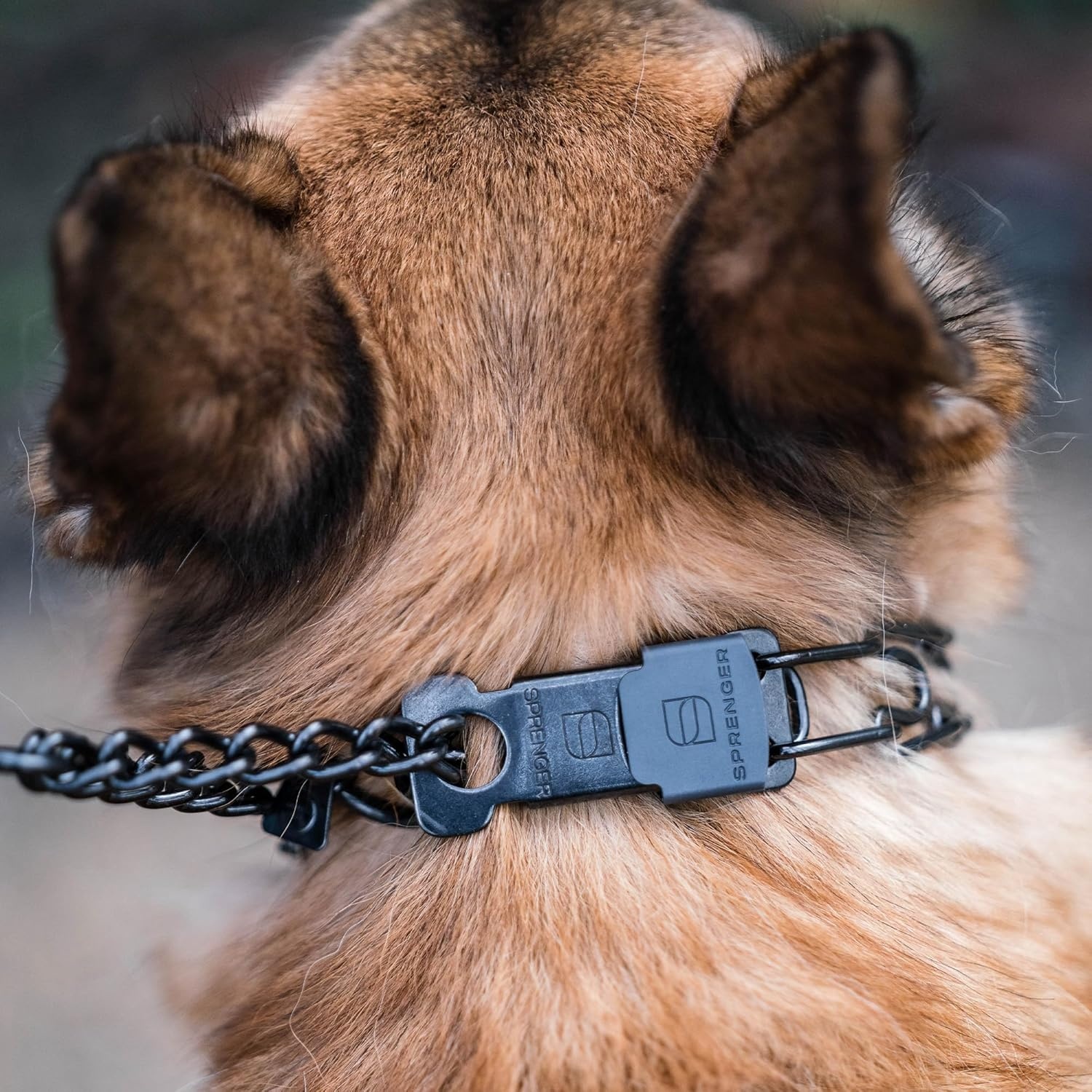 image:imageHerm SPRENGER UltraPlus Prong Dog Training Collar 4 mm x 21 Neck Size 4 mm x 25 Chain Length Steel Chrome Plated Dog Prong Collar Pinch Collar for Dogs Dog Correction CollarBlack Stainless Steel