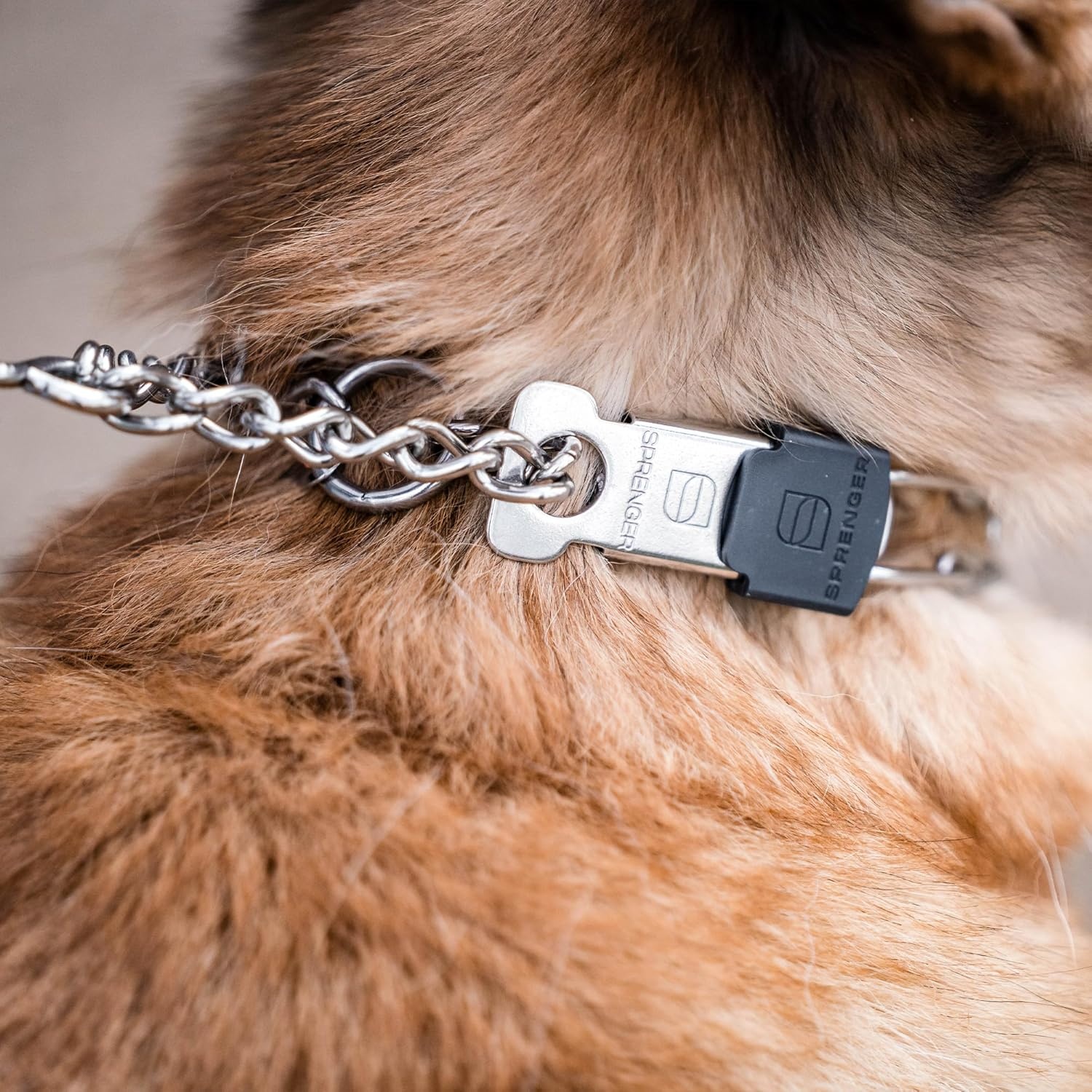 image:imageHerm SPRENGER UltraPlus Prong Dog Training Collar 4 mm x 21 Neck Size 4 mm x 25 Chain Length Steel Chrome Plated Dog Prong Collar Pinch Collar for Dogs Dog Correction CollarStainless Steel