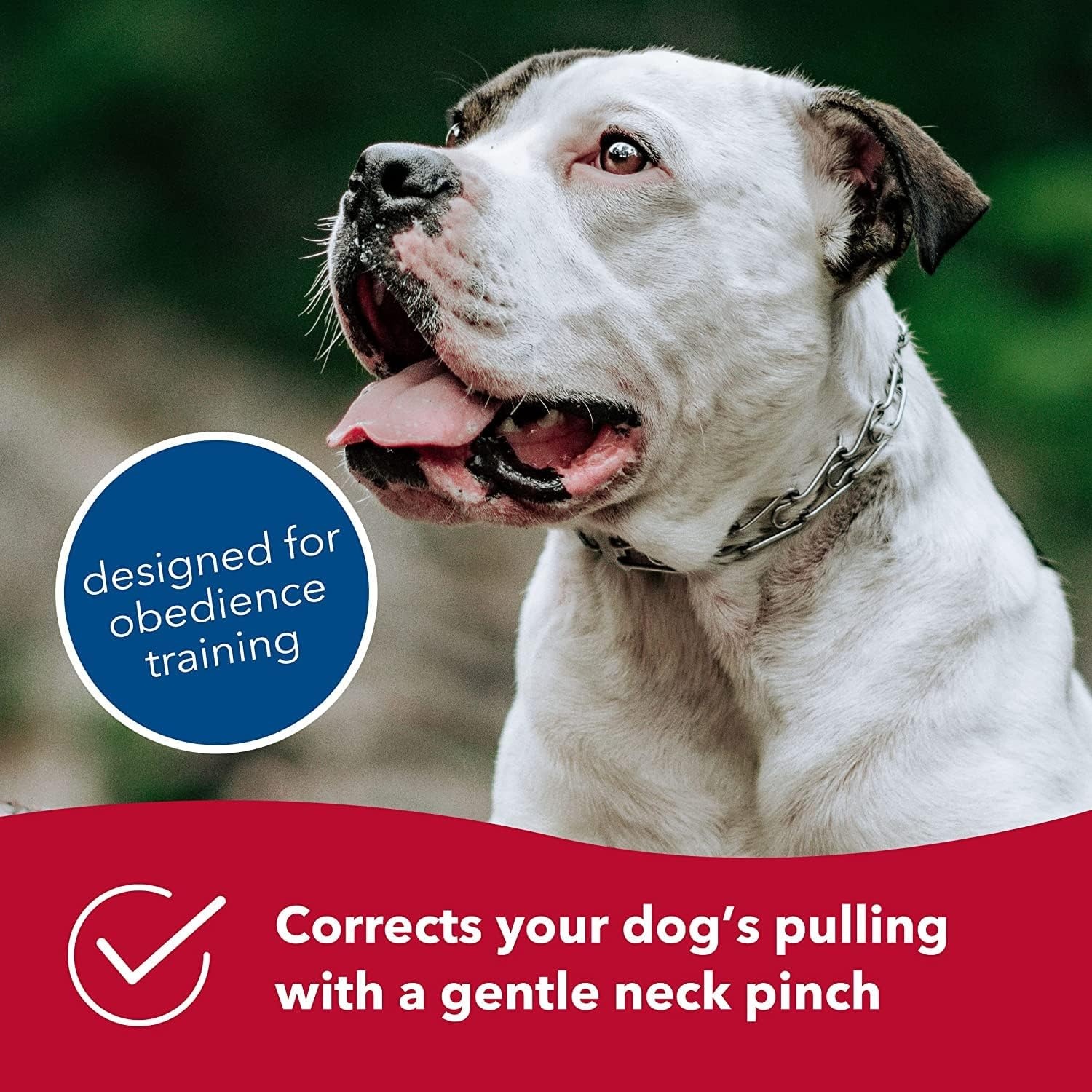 image:imageHerm SPRENGER UltraPlus Prong Dog Training Collar 4 mm x 21 Neck Size 4 mm x 25 Chain Length Steel Chrome Plated Dog Prong Collar Pinch Collar for Dogs Dog Correction CollarChrome