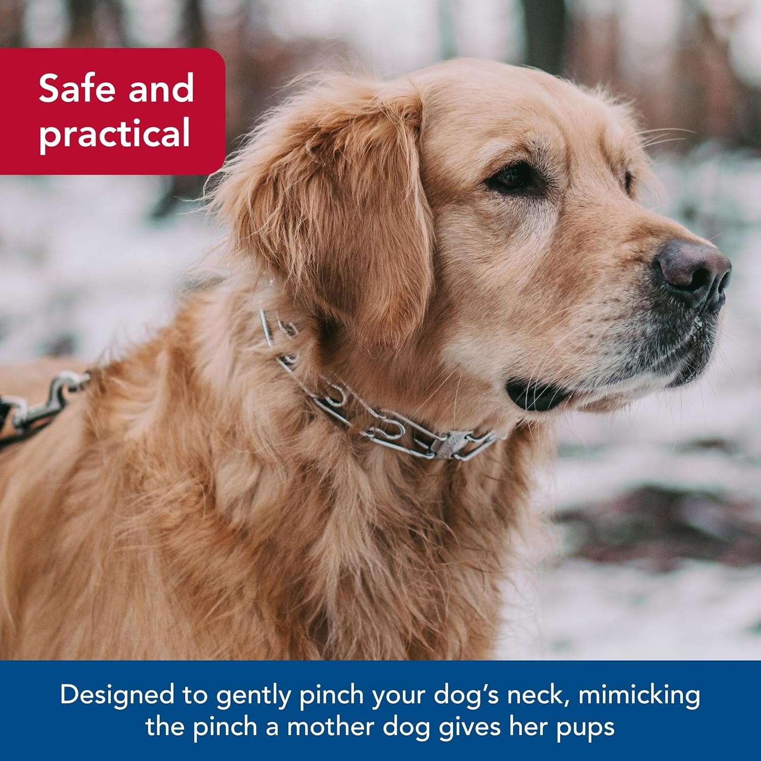 image:imageHerm SPRENGER UltraPlus Prong Dog Training Collar 4 mm x 21 Neck Size 4 mm x 25 Chain Length Steel Chrome Plated Dog Prong Collar Pinch Collar for Dogs Dog Correction CollarChrome