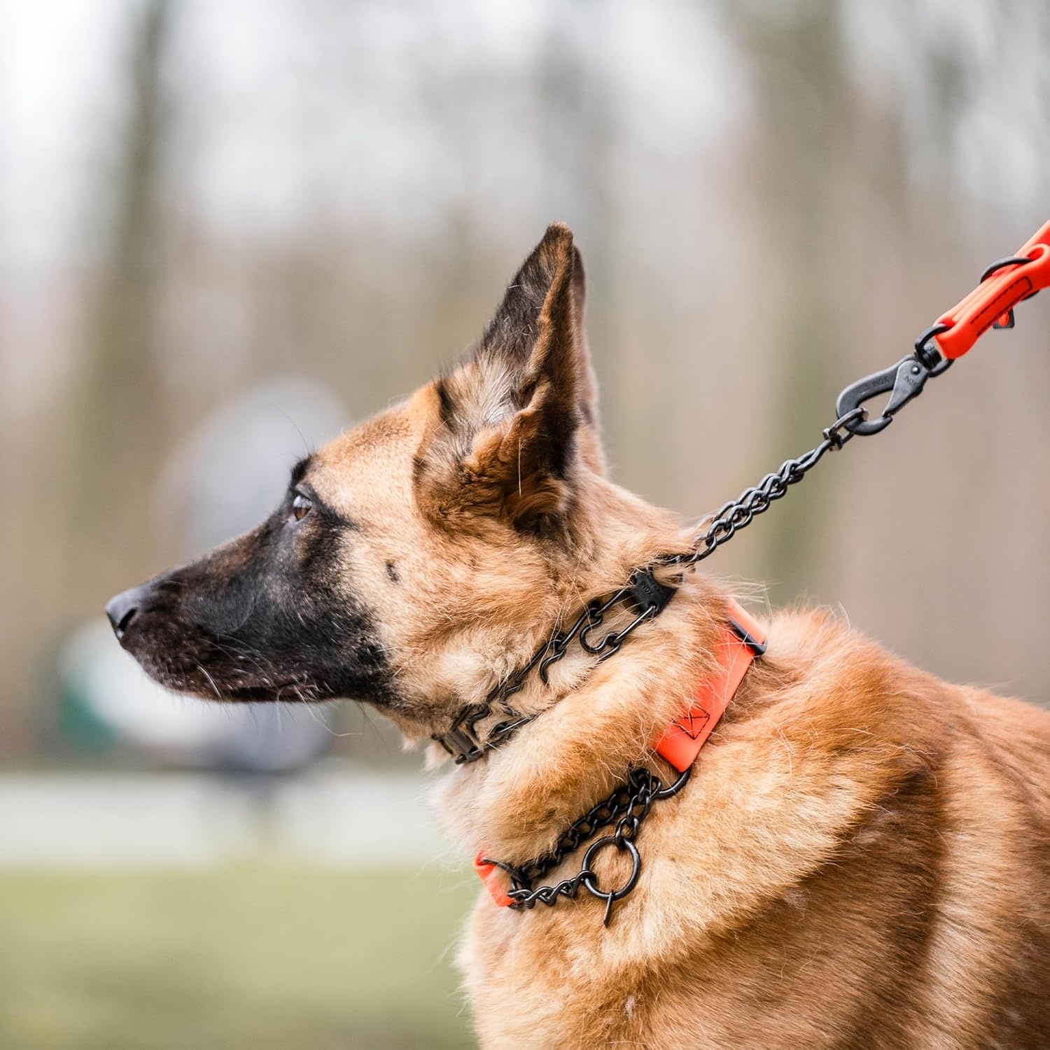 image:imageHerm SPRENGER UltraPlus Prong Dog Training Collar 4 mm x 21 Neck Size 4 mm x 25 Chain Length Steel Chrome Plated Dog Prong Collar Pinch Collar for Dogs Dog Correction CollarBlack Stainless Steel