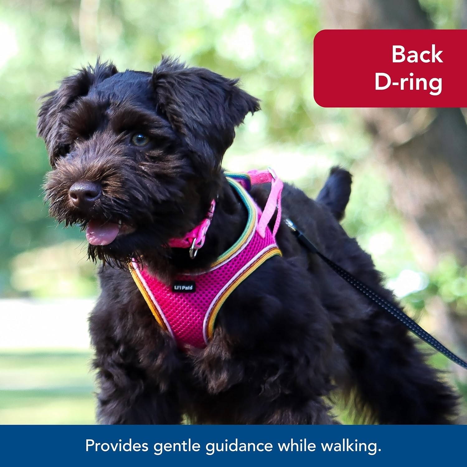 image:imageLil Pals Mesh Comfort Mesh Adjustable Stepin Dog Harness for Puppies and Toy Breeds Orchid Petite SmallBlue Lagoon