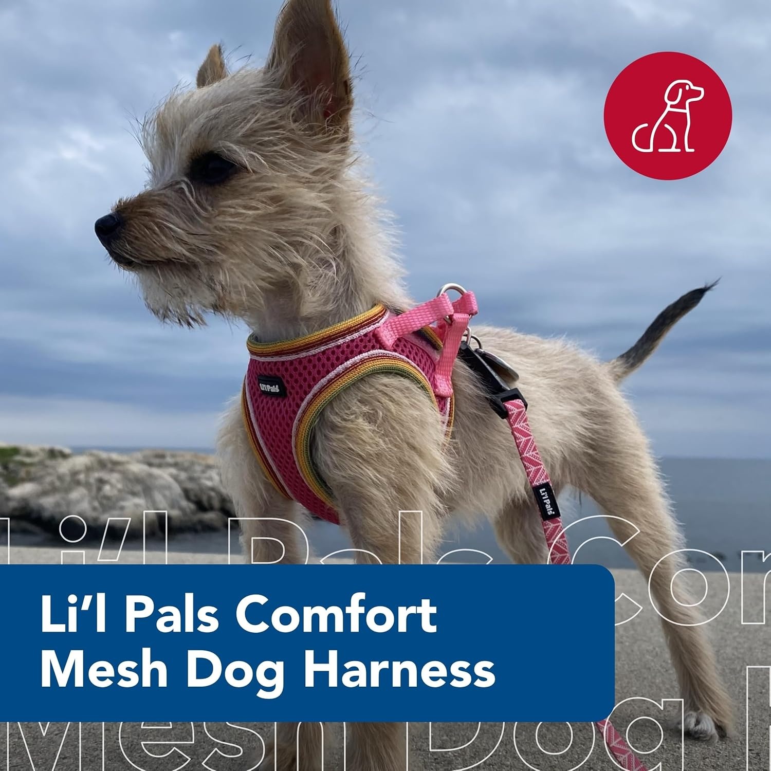 image:imageLil Pals Mesh Comfort Mesh Adjustable Stepin Dog Harness for Puppies and Toy Breeds Orchid Petite SmallOrchid