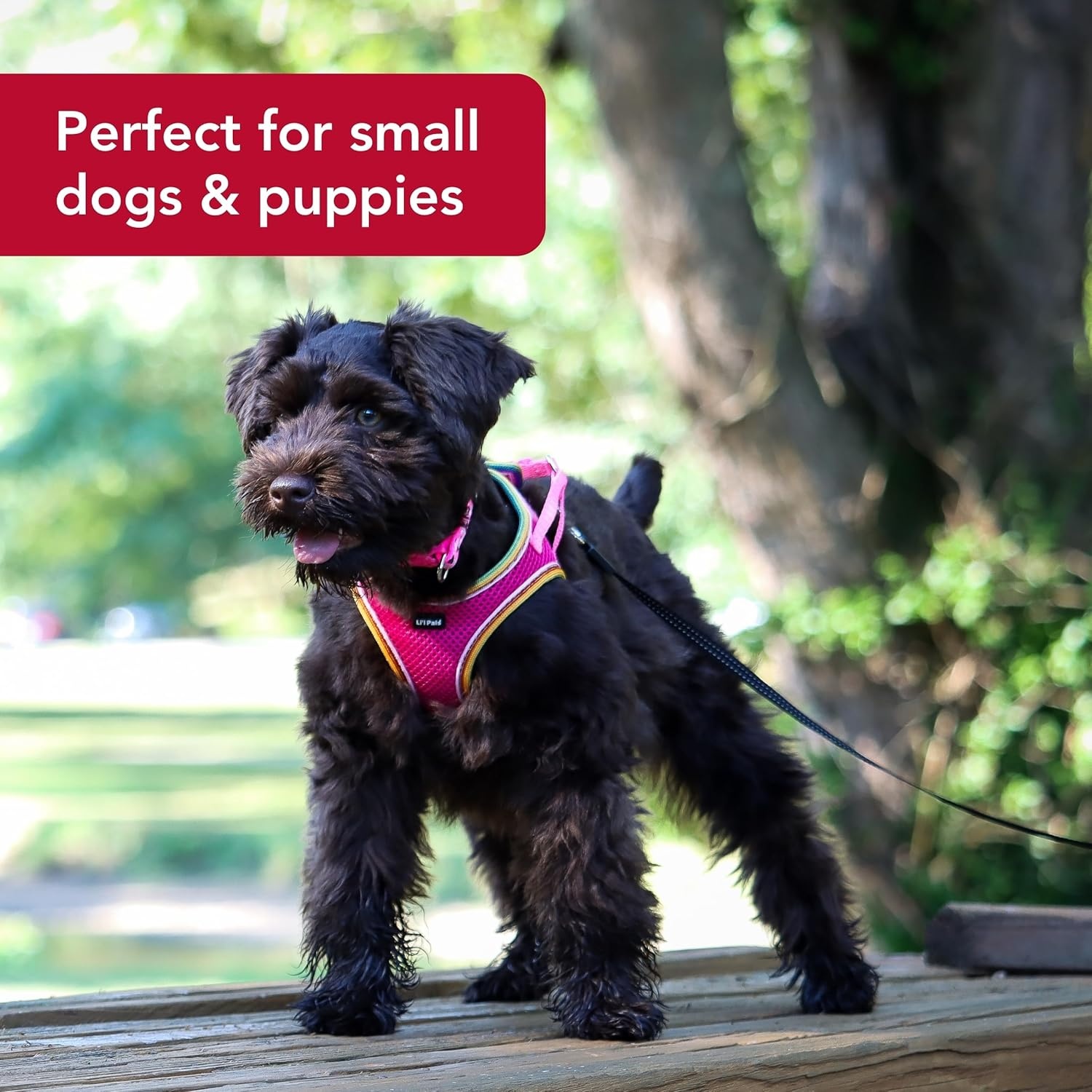 image:imageLil Pals Mesh Comfort Mesh Adjustable Stepin Dog Harness for Puppies and Toy Breeds Orchid Petite SmallOrchid