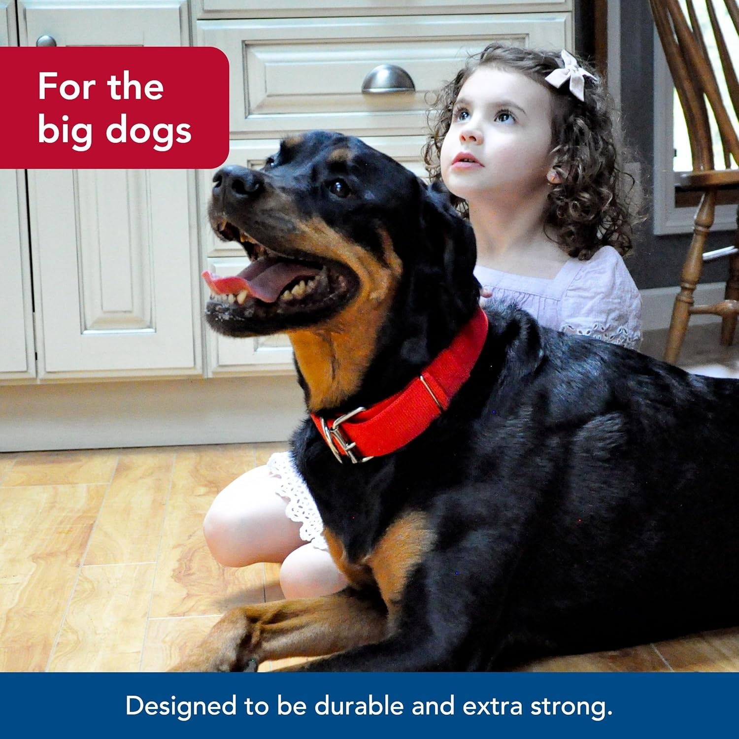 image:imageMacho Dog DoublePly Nylon Collar with Roller Buckle20 Pack of 1