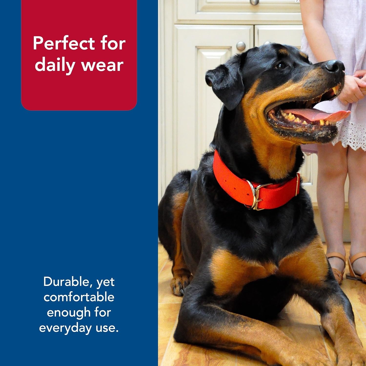 image:imageMacho Dog DoublePly Nylon Collar with Roller Buckle26 Pack of 1