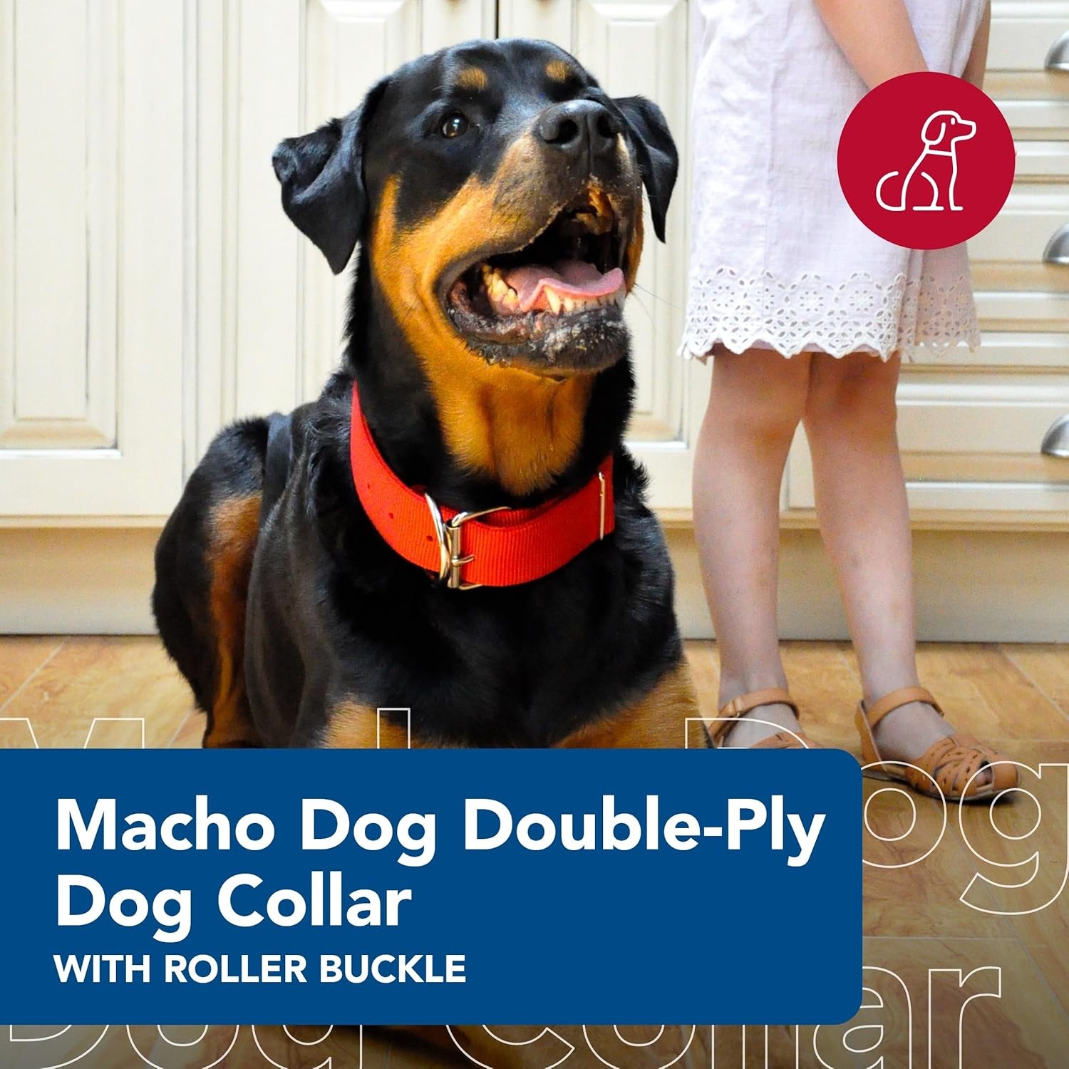 image:imageMacho Dog DoublePly Nylon Collar with Roller Buckle26 Pack of 1