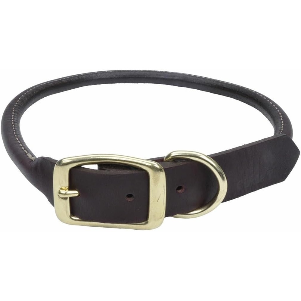 image:imageCoastal Pet Circle T Latigo Leather Round Dog Collar with Solid Brass Hardware Latigo 1 x 221 x 24 Pack of 1