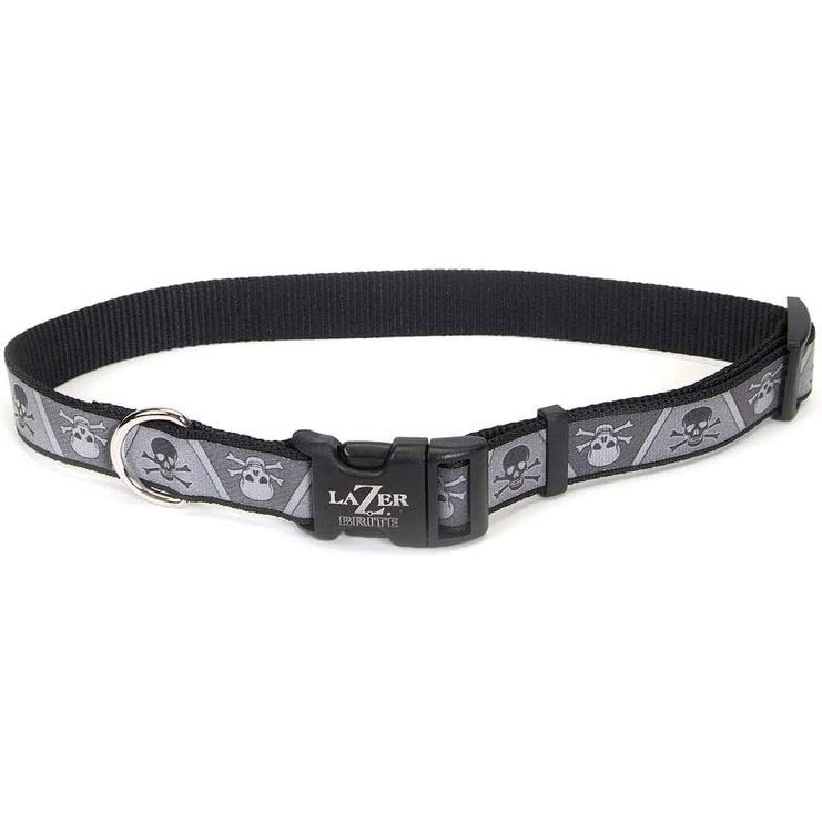 image:imageCoastal Pet Lazer Brite Reflective Adjustable Dog Collar Turquoise Bones 58 x 1218Skulls and Crossbones