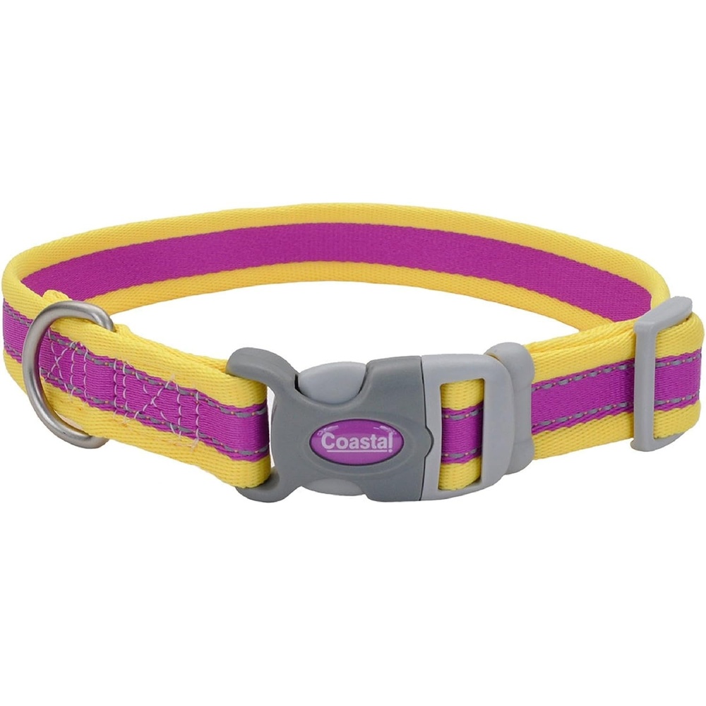 image:imageCoastal Pet Pro Reflective Adjustable Dog Collar Bright Blue with Grey 1 x 1420Purple with Yellow