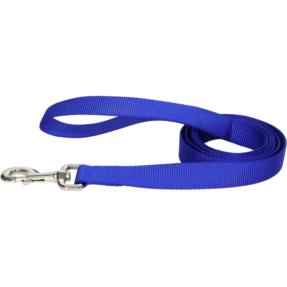 image:imageCoastal Pet SinglePly Dog Leash Sturdy Pet Leash Comfortable amp Stylish Resists Fraying Vibrant amp FadeResistant Color Lime 1 x 6Azul