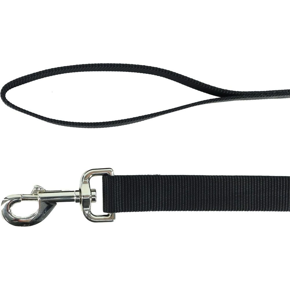 image:imageCoastal Pet SinglePly Dog Leash Sturdy Pet Leash Comfortable amp Stylish Resists Fraying Vibrant amp FadeResistant Color Lime 1 x 6Black