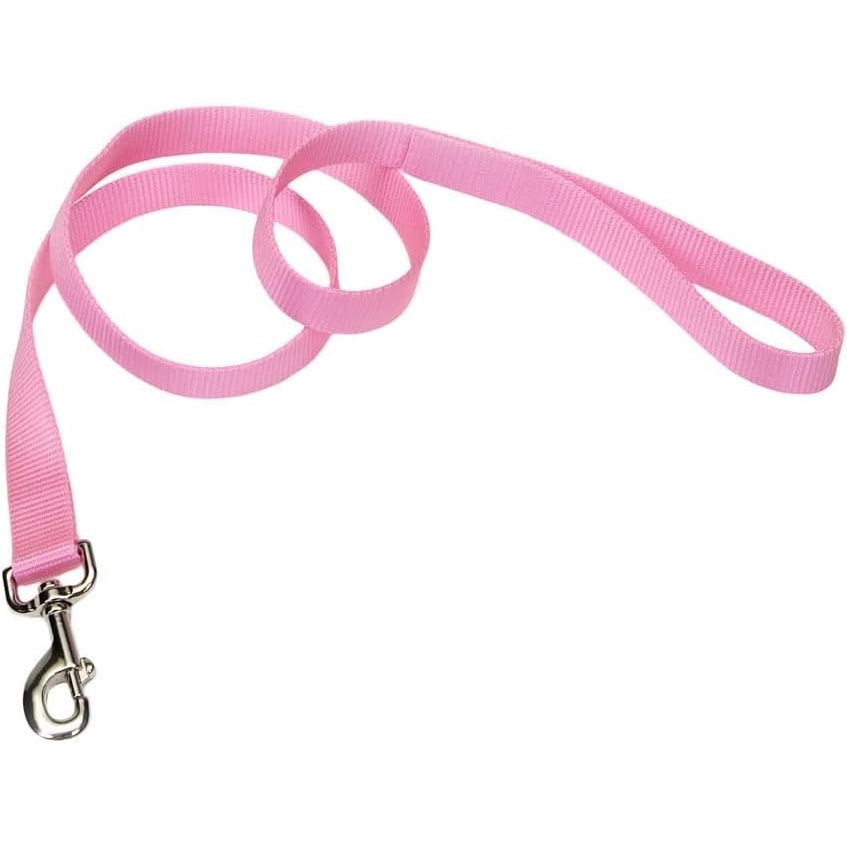 image:imageCoastal Pet SinglePly Dog Leash Sturdy Pet Leash Comfortable amp Stylish Resists Fraying Vibrant amp FadeResistant Color Lime 1 x 6Pink Bright