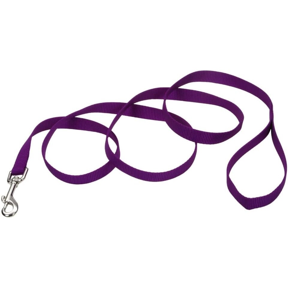 image:imageCoastal Pet SinglePly Dog Leash Sturdy Pet Leash Comfortable amp Stylish Resists Fraying Vibrant amp FadeResistant Color Lime 1 x 6Purple