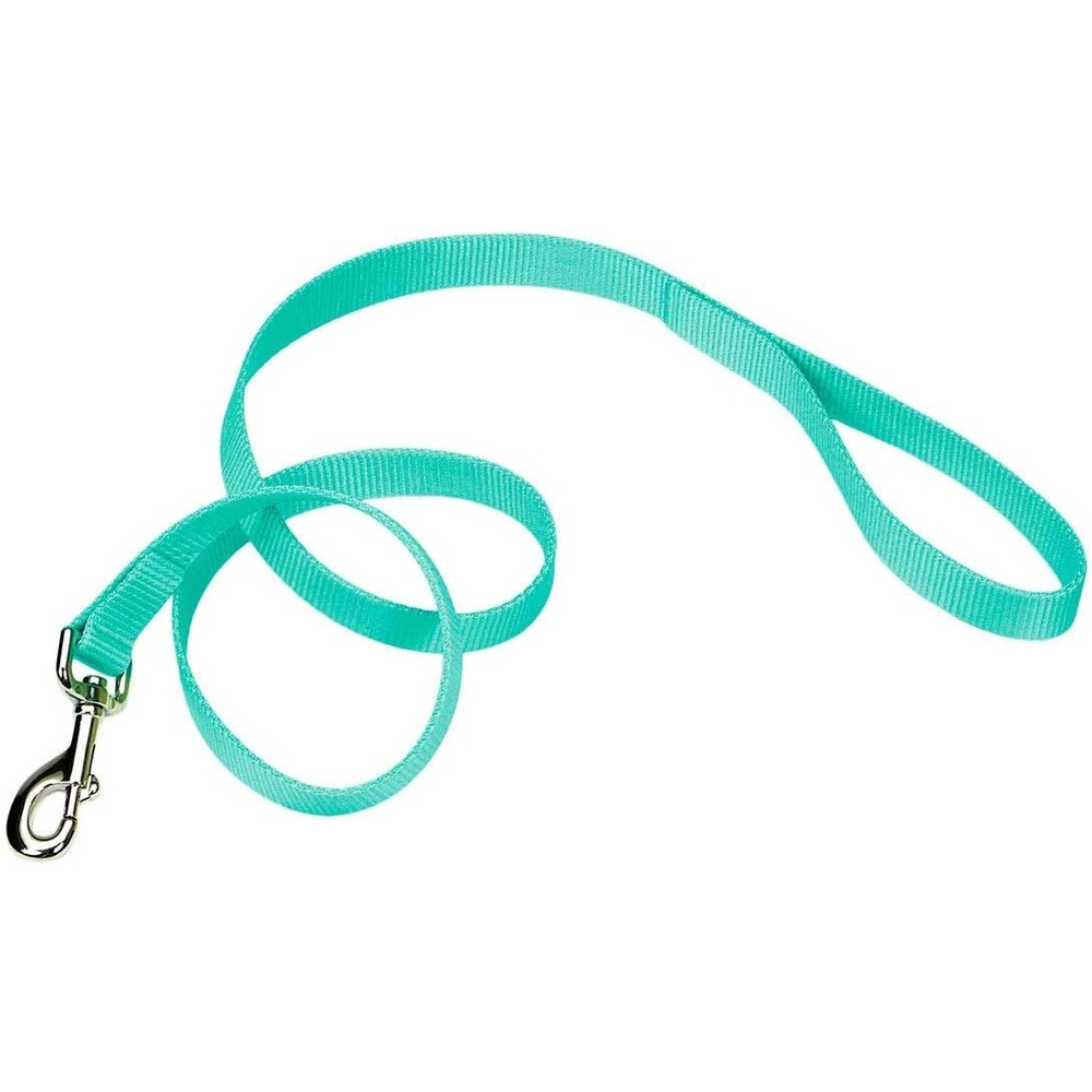 image:imageCoastal Pet SinglePly Dog Leash Sturdy Pet Leash Comfortable amp Stylish Resists Fraying Vibrant amp FadeResistant Color Lime 1 x 6Teal