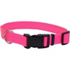 Neon Pink