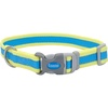 Aqua with Neon Yellow