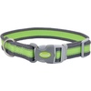 Bright Green with Grey