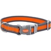 Bright Orange with Grey