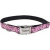 Pink Paisley